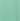 gertrude-t-shirt-leonce-shine-avec-imprime-dos-e26leonceshine-menthe-color