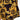 Short Versace Black gold